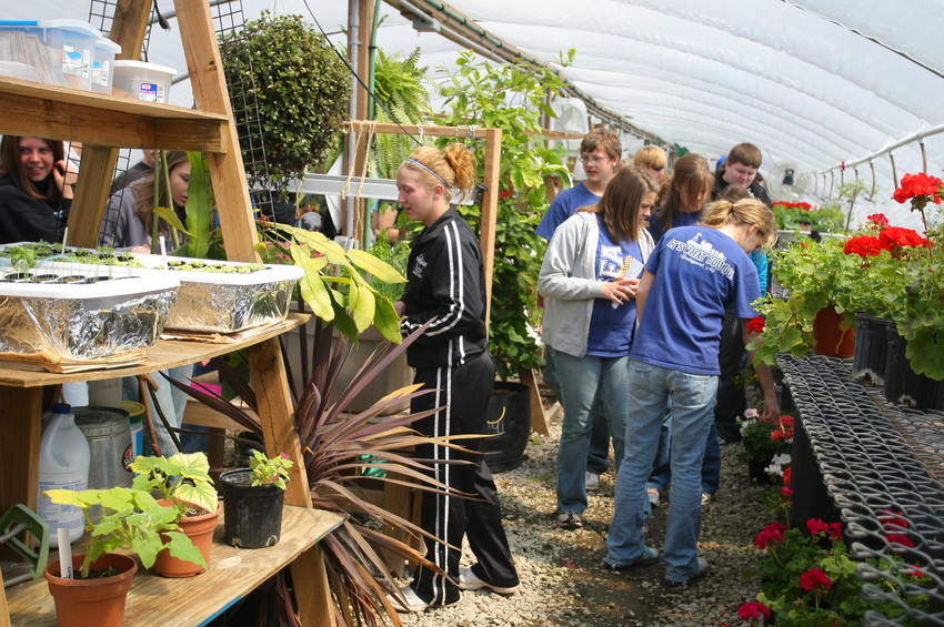 Students examining plants in a greenhouse